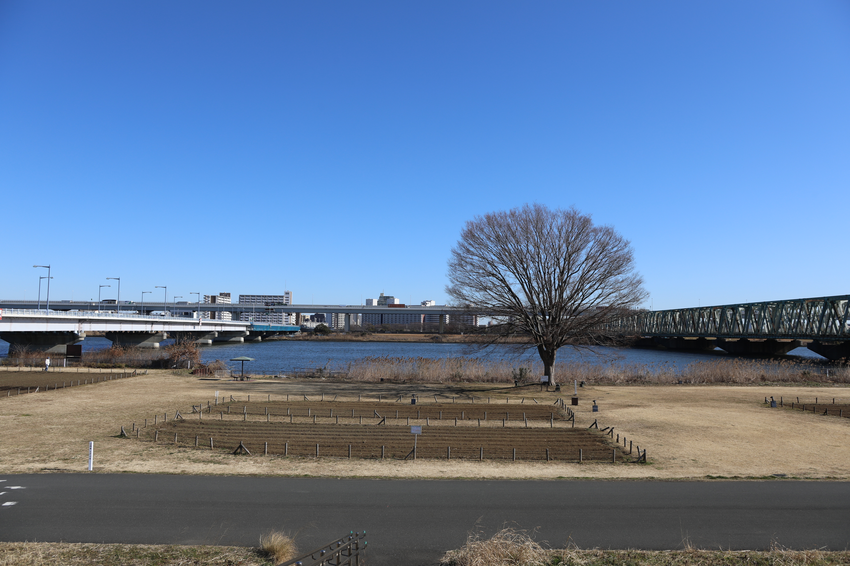 河川敷 ロケチミル 無料で様々なロケ地の写真を閲覧